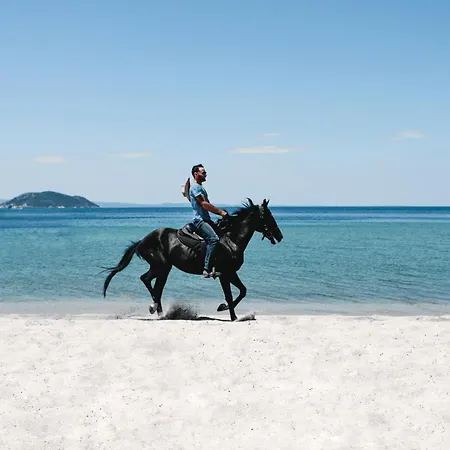 Porto Carras Meliton منتجع