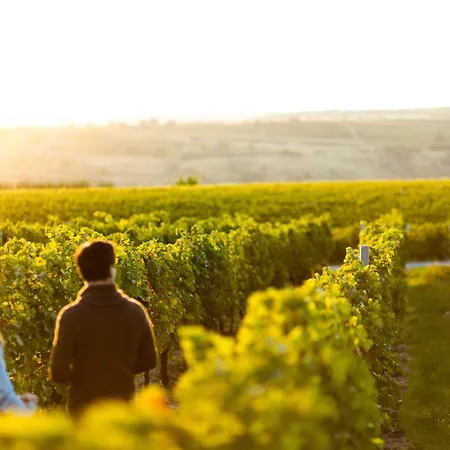 منتجع Porto Carras Meliton 5*